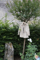 Cie L Aurore * (112 Diapositives)